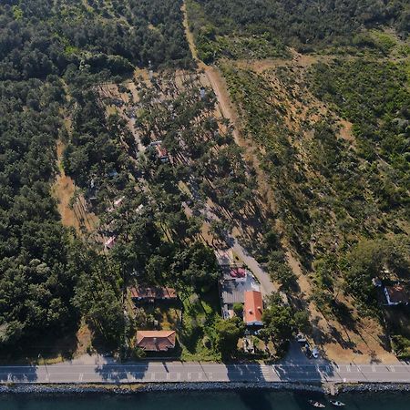 Parque De Campismo Orbitur Sao Jacinto Otel Dış mekan fotoğraf